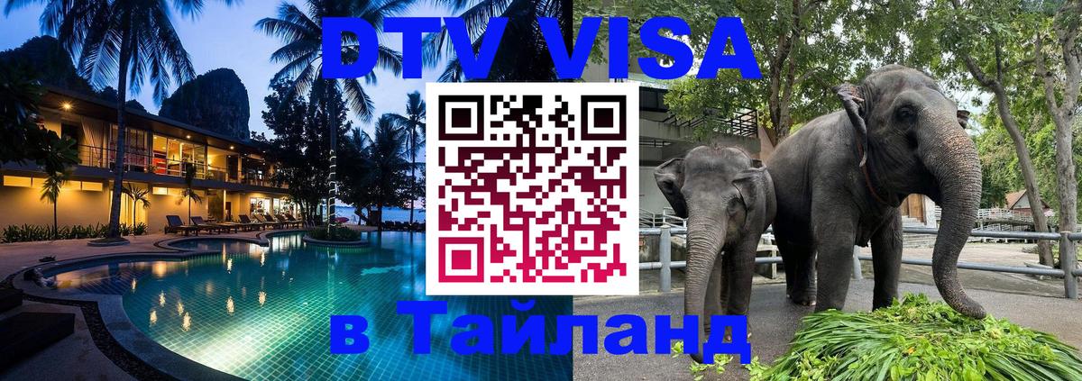 Сколько стоит DTV виза — актуальные цены, оформление даже без документов - 